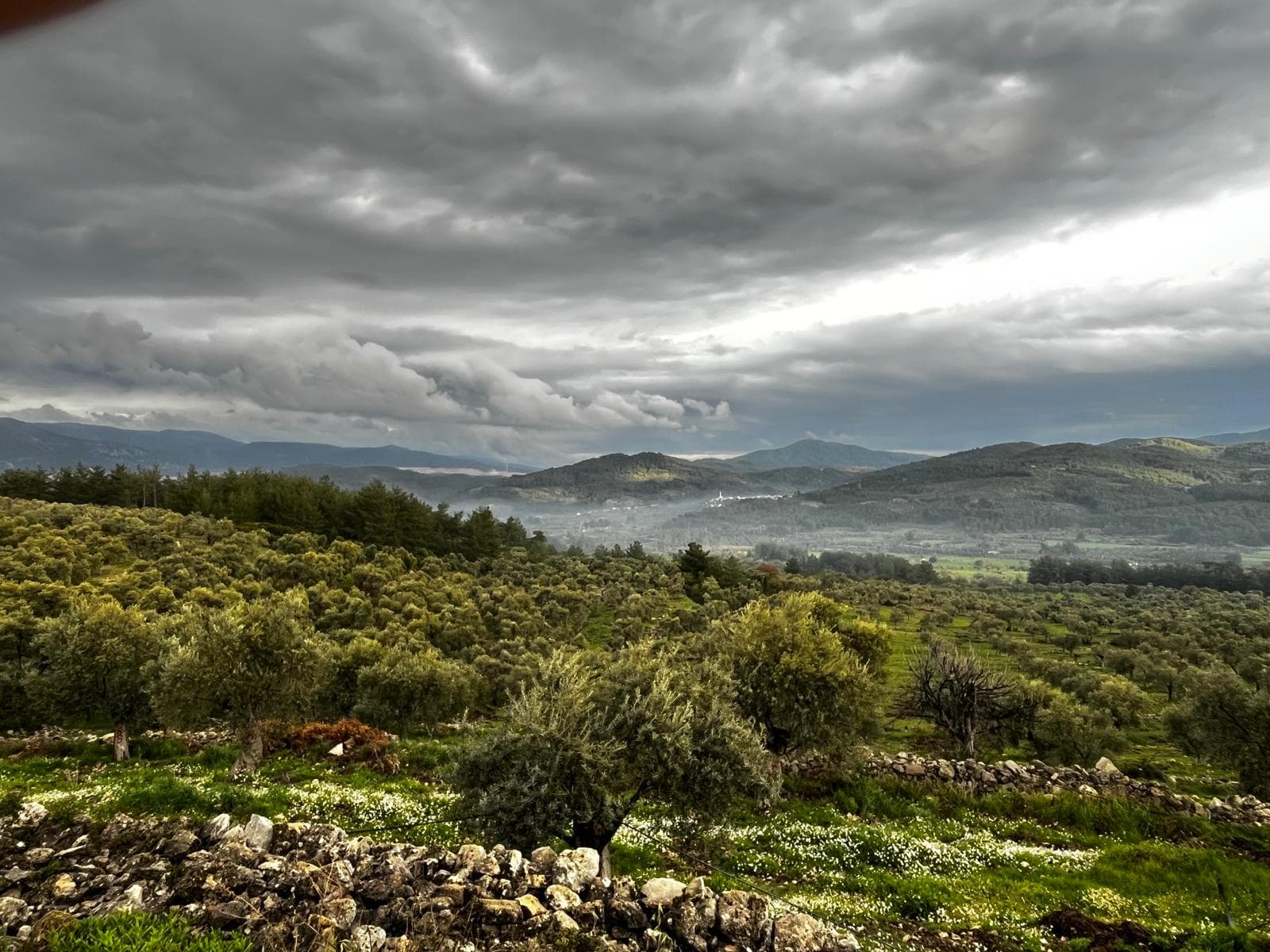 Alaçam Bahçesi